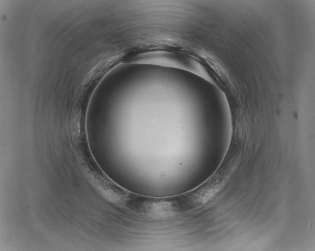 X0000068270501200604211114