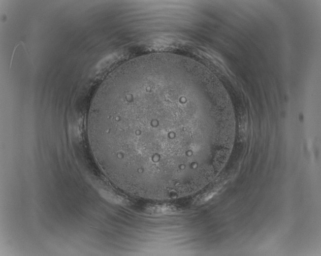 X0000068270503200604211114