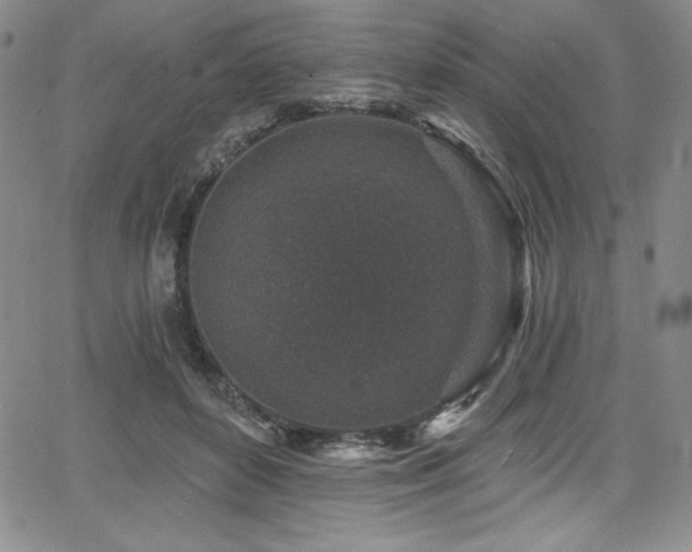 X0000068270504200604211114