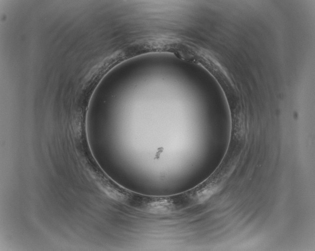 X0000068270505200604211114