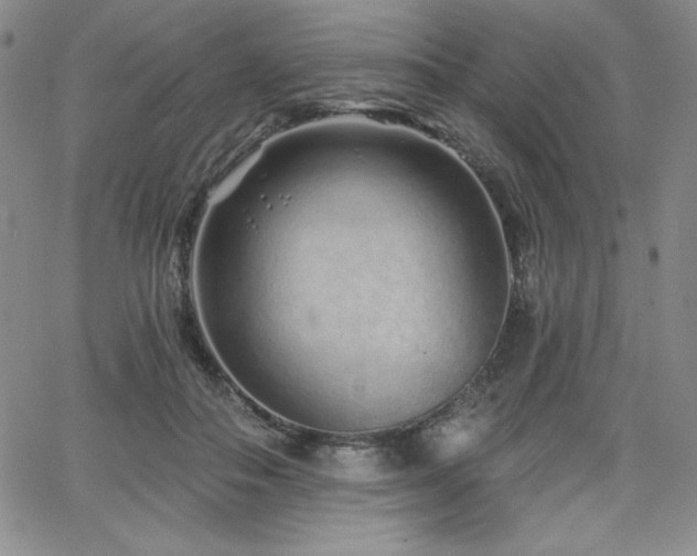 X0000068270506200604211114