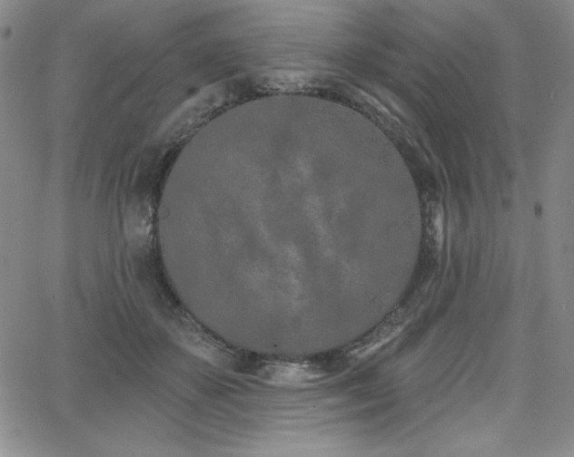 X0000068270507200604211114