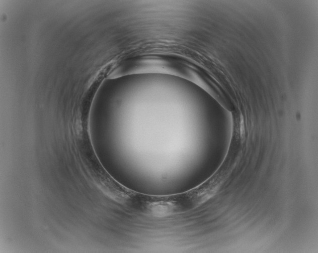 X0000068270508200604211114