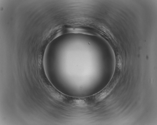 X0000068270509200604211114