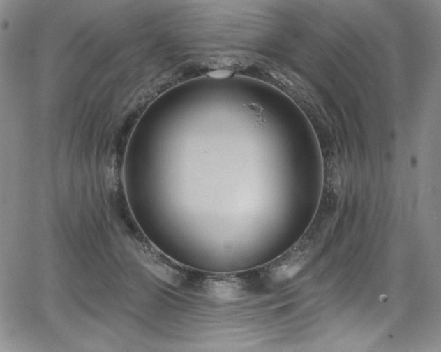 X0000068270510200604211114