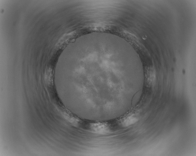 X0000068270511200604211114