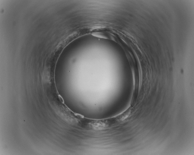 X0000068270512200604211114