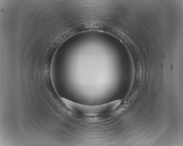 X0000068270513200604211114