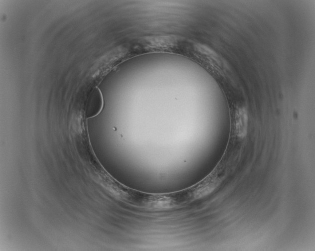 X0000068270514200604211114