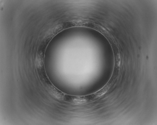 X0000068270515200604211113