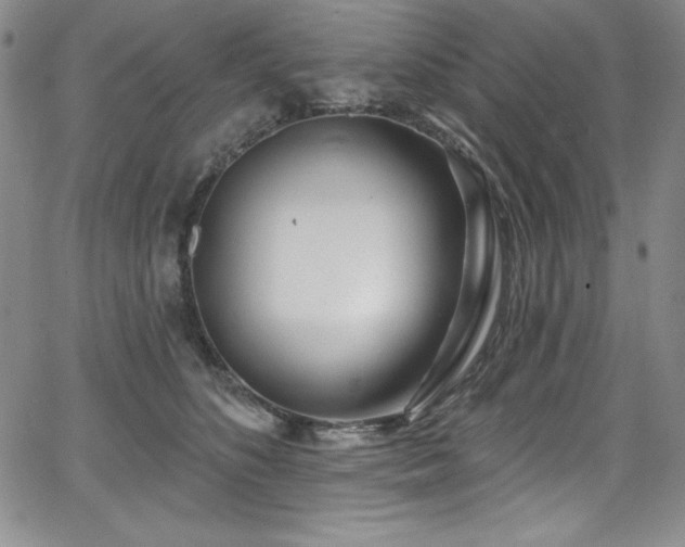 X0000068270516200604211113