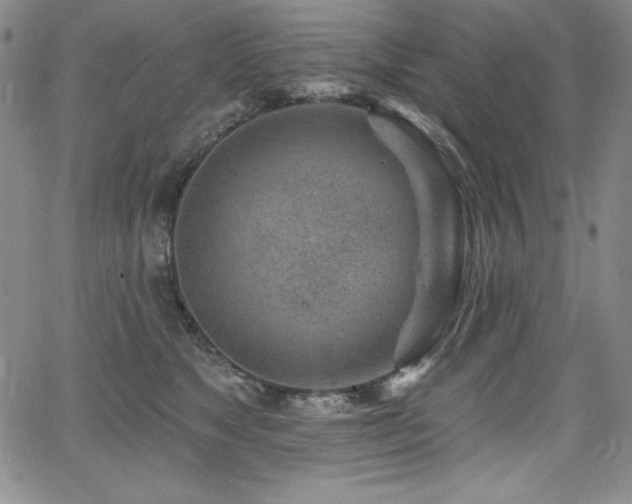 X0000068270517200604211113