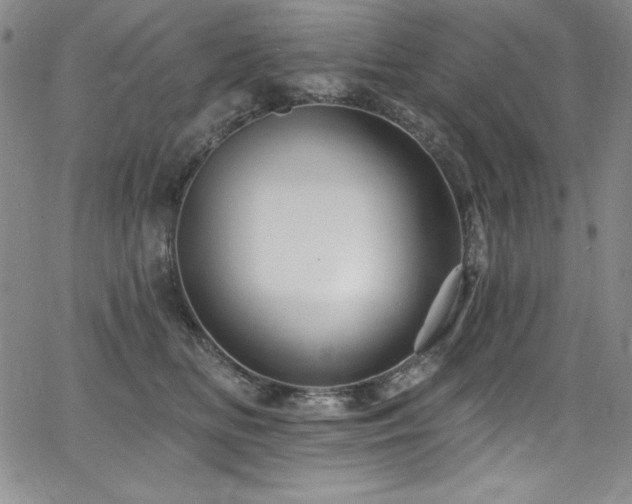 X0000068270518200604211113