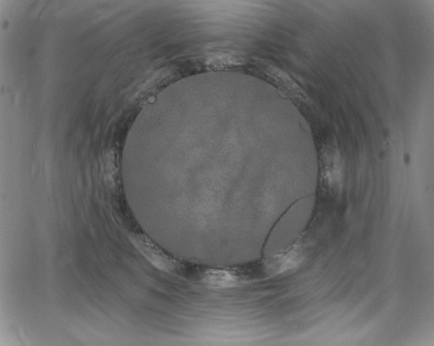 X0000068270519200604211113