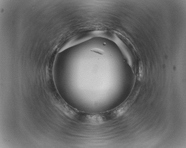 X0000068270520200604211113