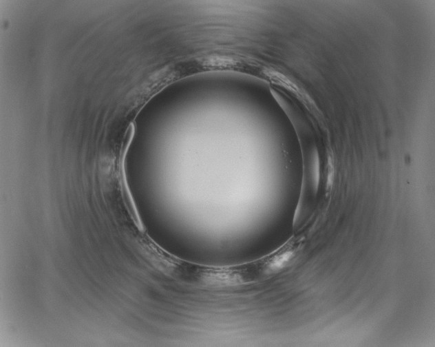 X0000068270521200604211113