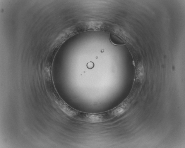 X0000068270522200604211113