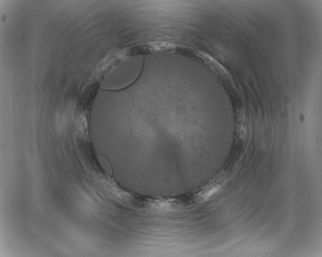 X0000068270523200604211113