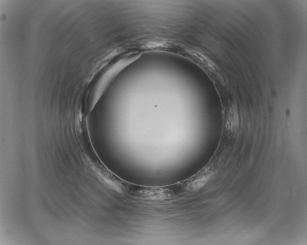 X0000068270524200604211113