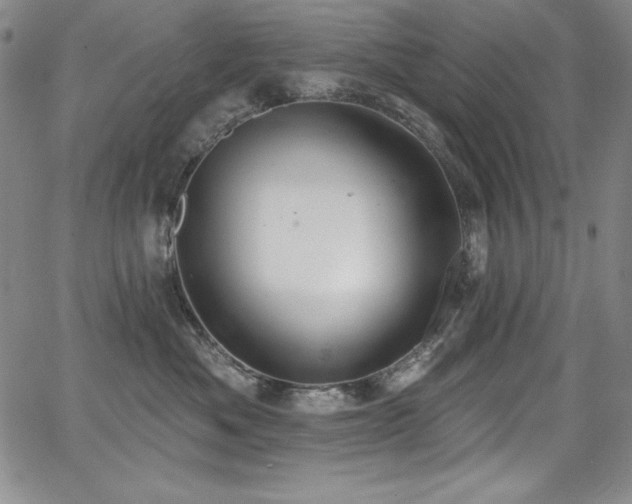 X0000068270525200604211113