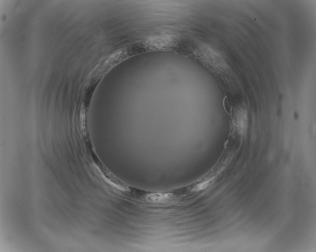 X0000068270526200604211113