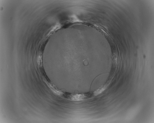 X0000068270527200604211113