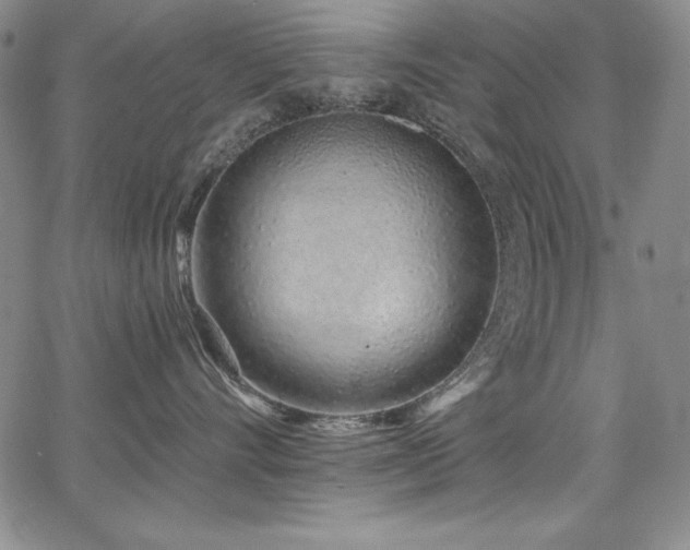 X0000068270528200604211113