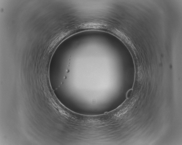 X0000068270529200604211112