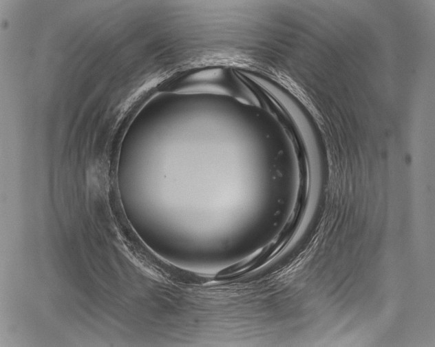 X0000068270530200604211112