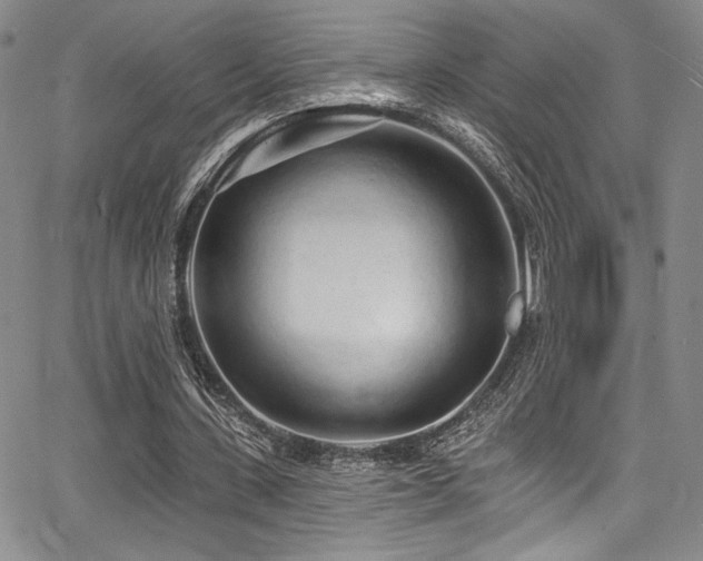 X0000068270531200604211112