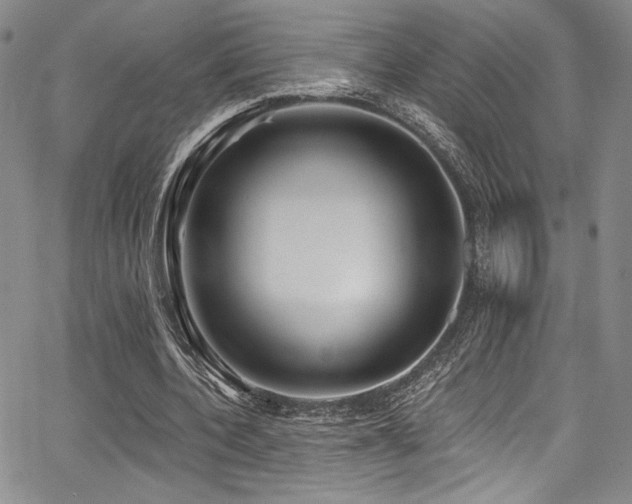 X0000068270532200604211112