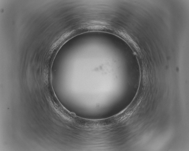 X0000068270533200604211112