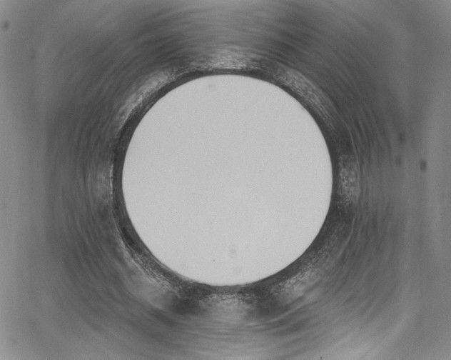 X0000068270534200604211112