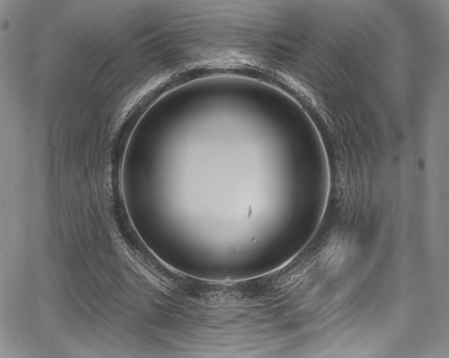 X0000068270535200604211112