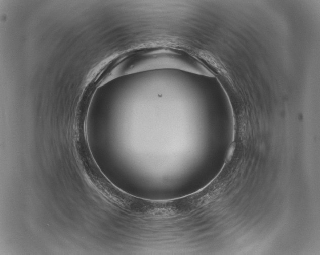 X0000068270536200604211112