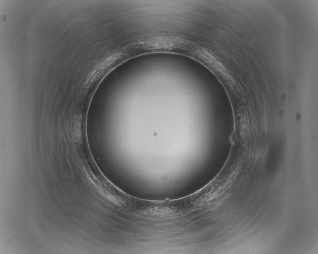 X0000068270537200604211112