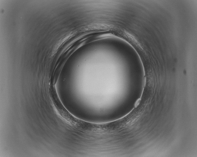 X0000068270538200604211112