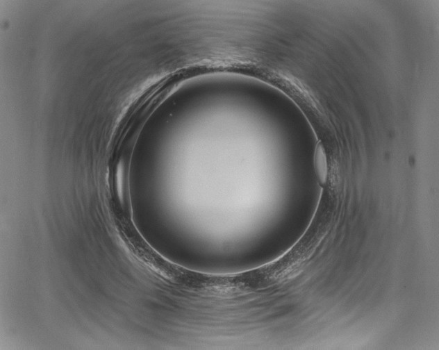 X0000068270540200604211113