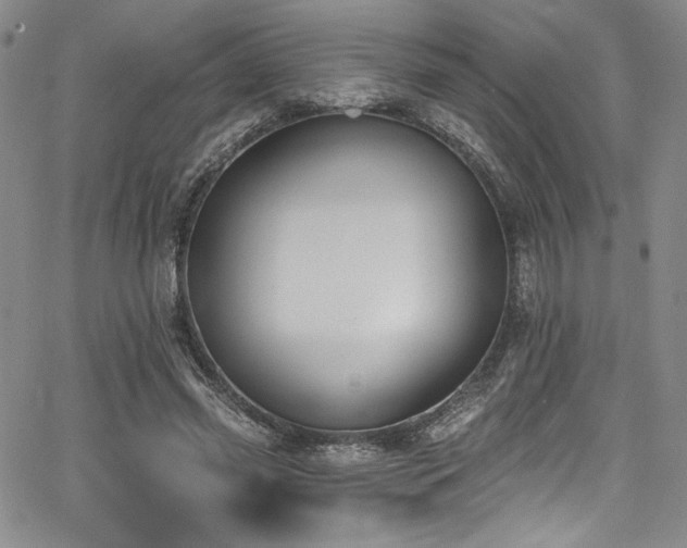 X0000068270541200604211113