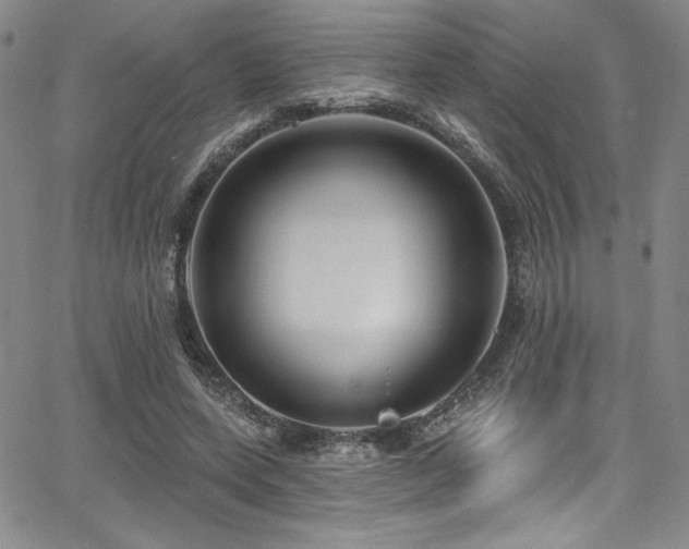 X0000068270543200604211113