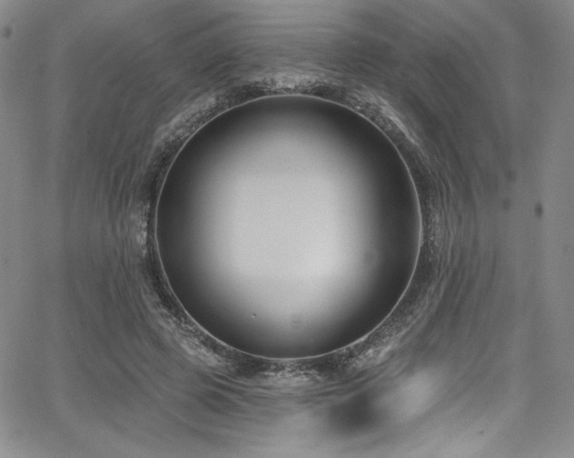 X0000068270545200604211113