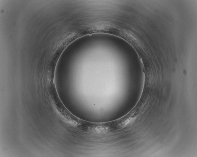 X0000068270546200604211113