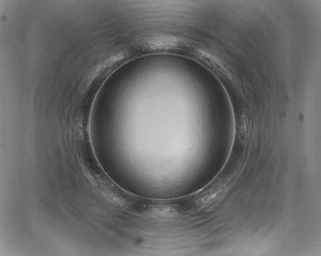 X0000068270547200604211113