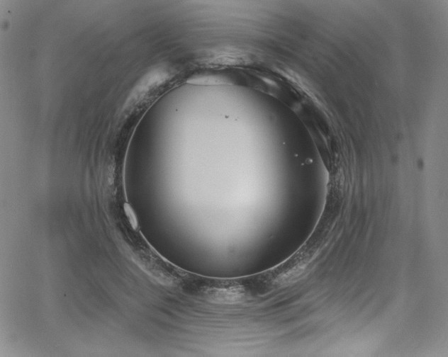 X0000068270548200604211113