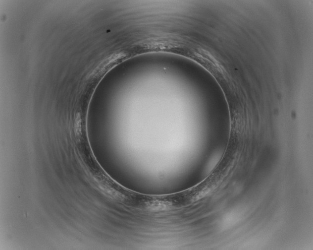 X0000068270549200604211113