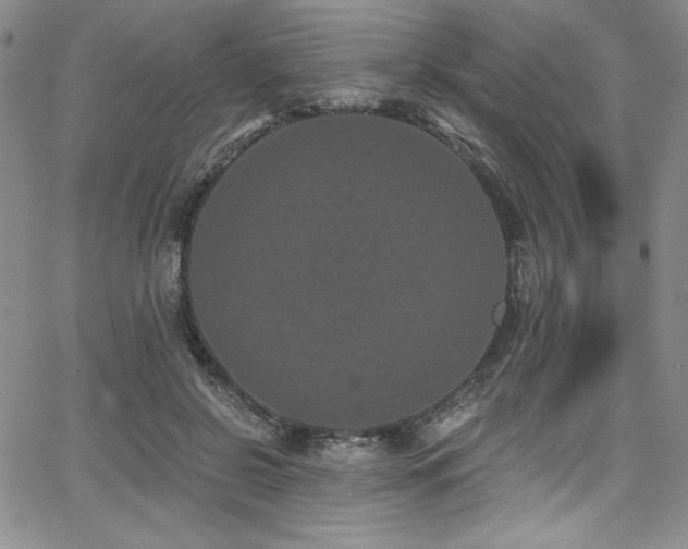 X0000068270550200604211113