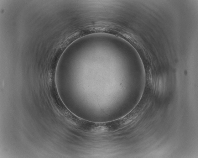 X0000068270551200604211113