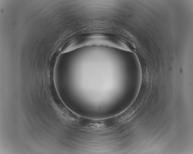 X0000068270552200604211113