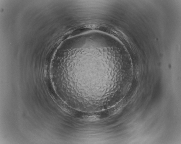 X0000068270553200604211113