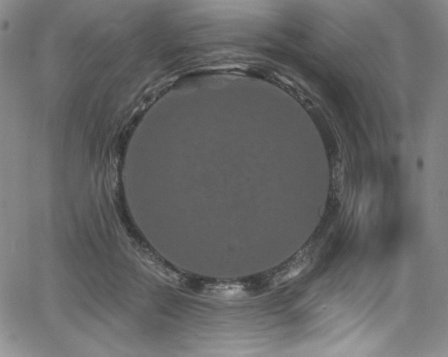 X0000068270554200604211113